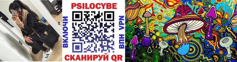 даркнет сайт Ишим Псилоцибиновые грибы мухоморы